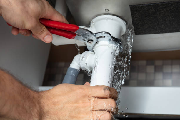 Water damage restoration mold remediation in Imlay City, MI
