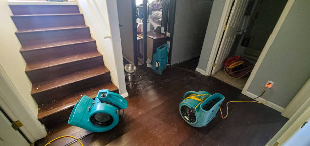 Professional Water damage restoration in Imlay City, MI