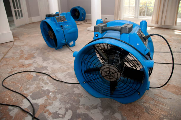  Imlay City, MI Water damage restoration Pros