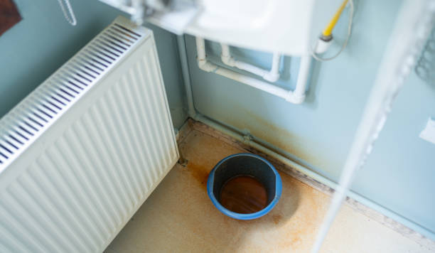 Best Flooded house restoration  in Imlay City, MI