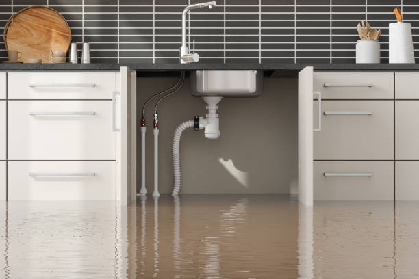 Best Professional water damage repair  in Imlay City, MI