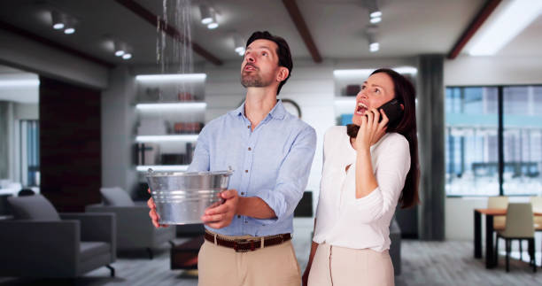 Best 24-hour water damage restoration  in Imlay City, MI